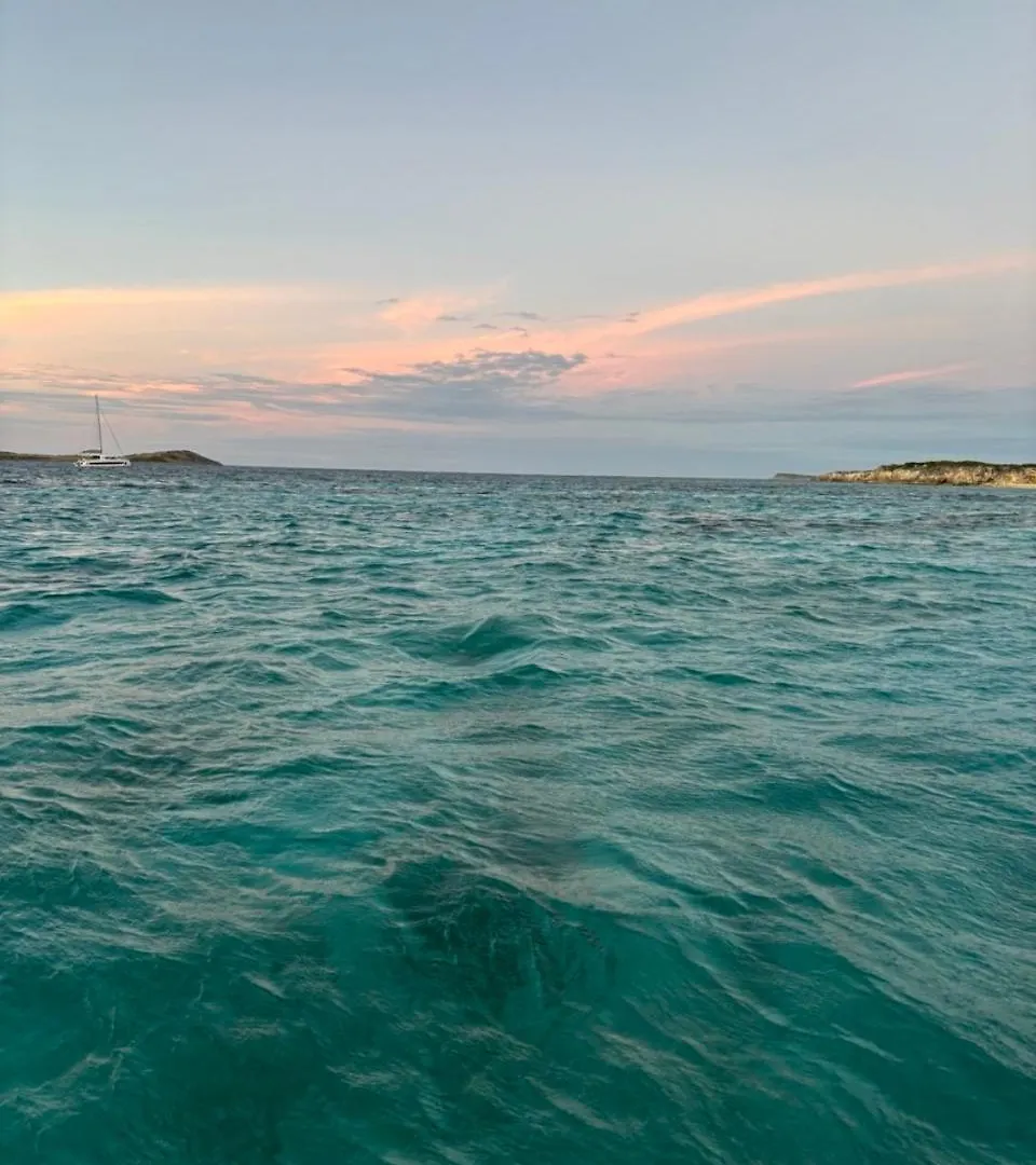 Catamaran Zephyr Experience Exclusive Navigation, Diner, Nuit, Petit-Dejeuner Inclus Flamands بوتيل